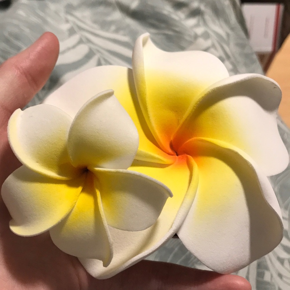 Hawaiian hair clips